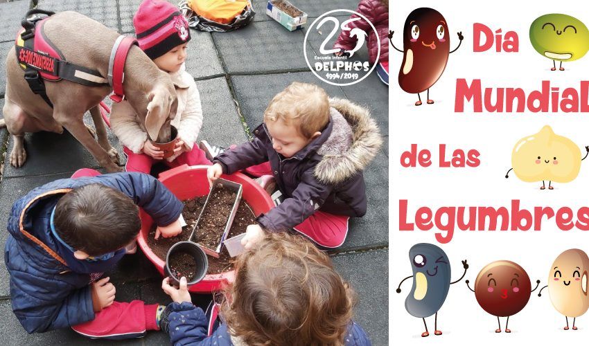 Escuela Infantil en Ciudad Lineal