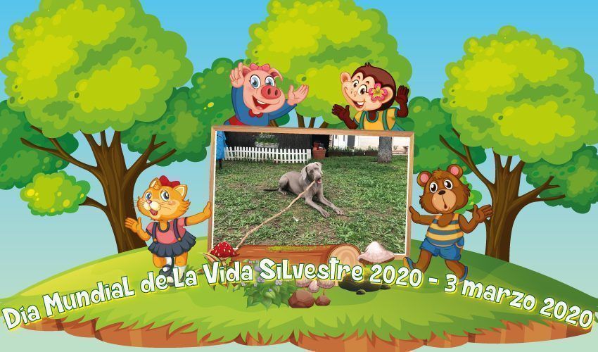 Escuela Infantil en Barrio de la Concepción