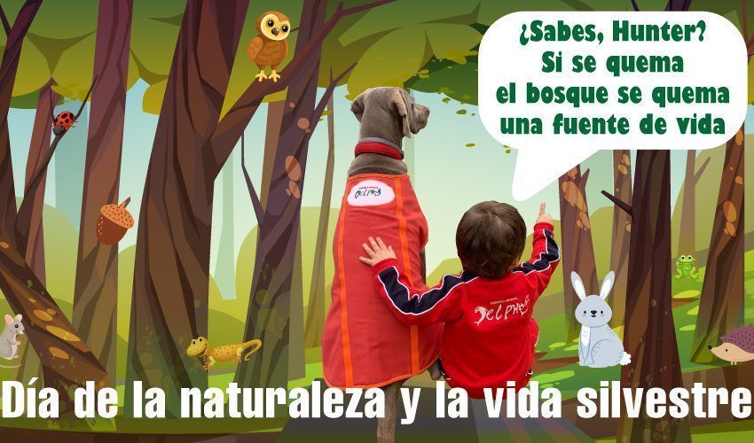 Escuela Infantil en Barrio de la Concepción
