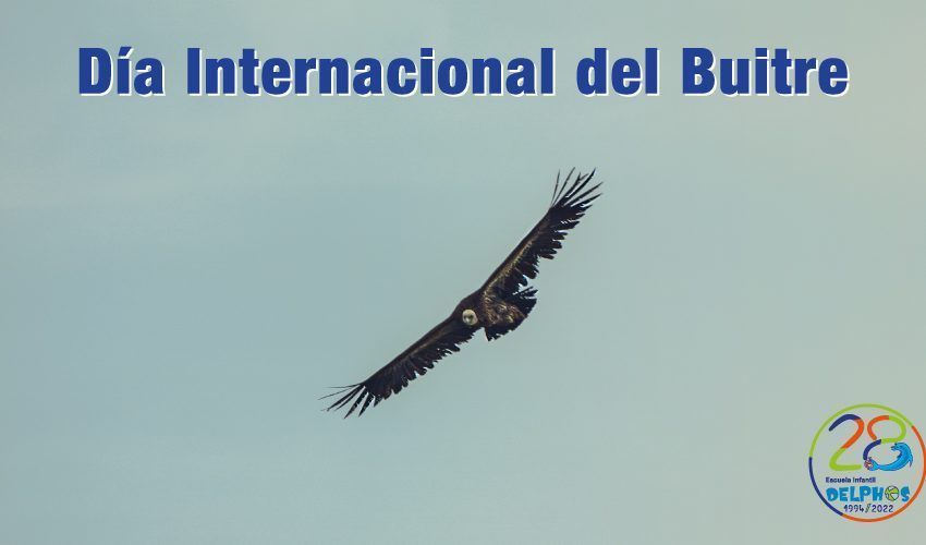 Guarderia en Barrio de la Concepción