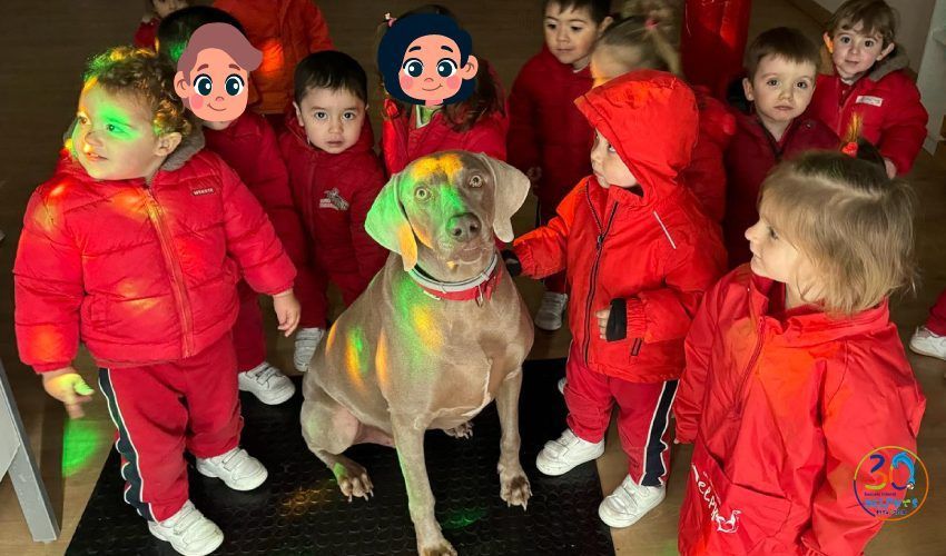 Escuela Infantil en ciudad lineal