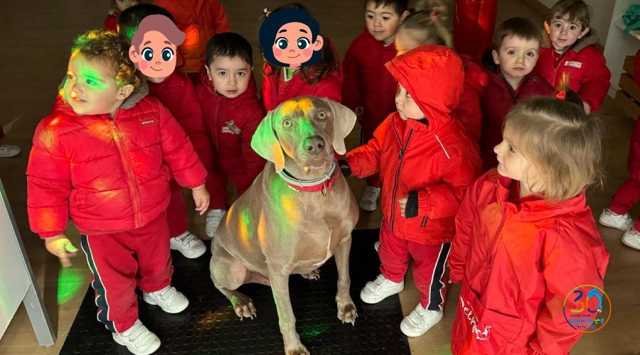 Escuela Infantil en ciudad lineal